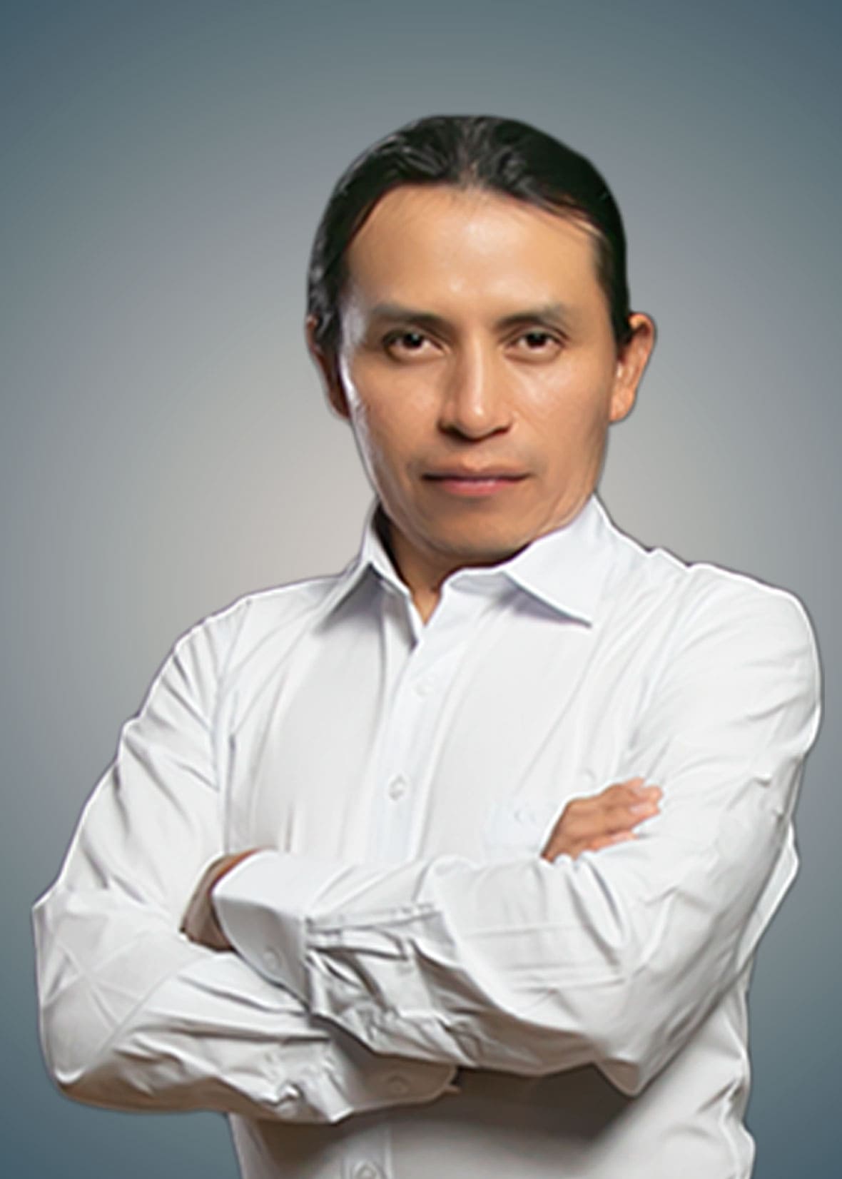 Ing. Luis Picuasi